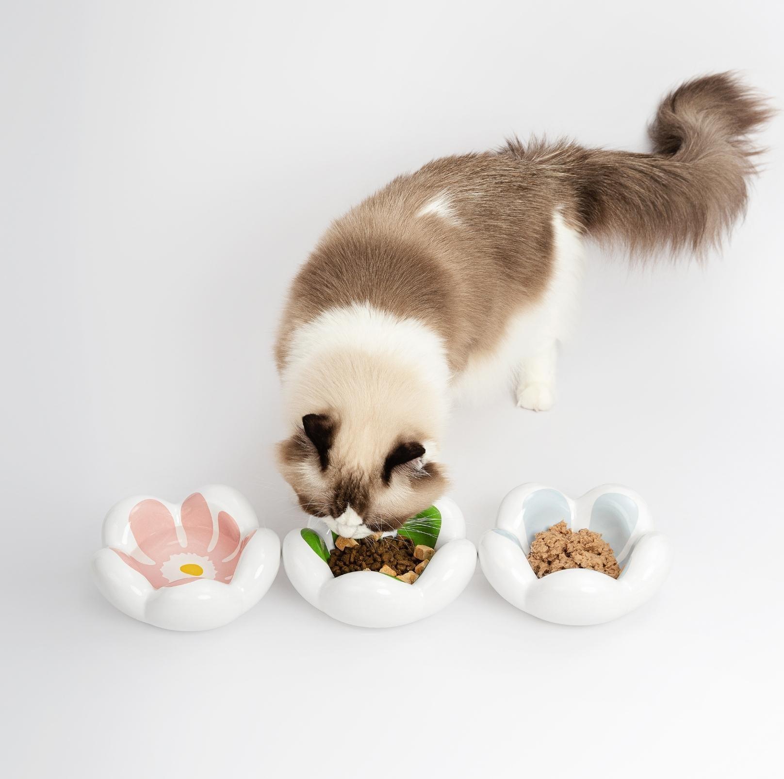 Wulee Petal Shaped Ceramic Antibacterial Pet Cat Bowls Small Dog