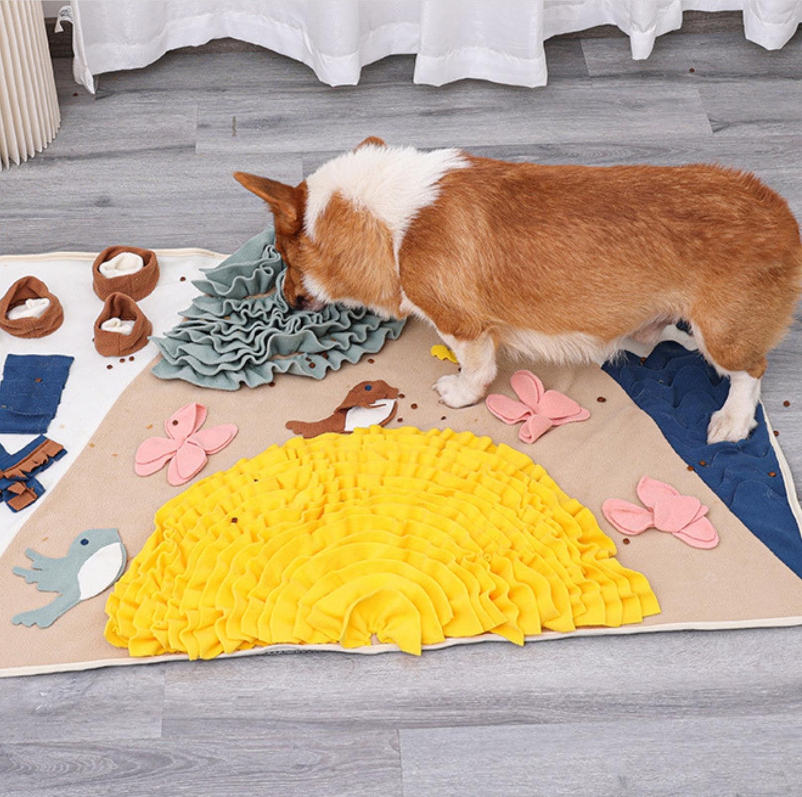 https://pawpawup.com.au/cdn/shop/products/xl-birdy-and-butterflies-pet-snuffle-mat-dog-puzzle-training-toy-pawpawup-5.jpg?v=1683295963&width=1946