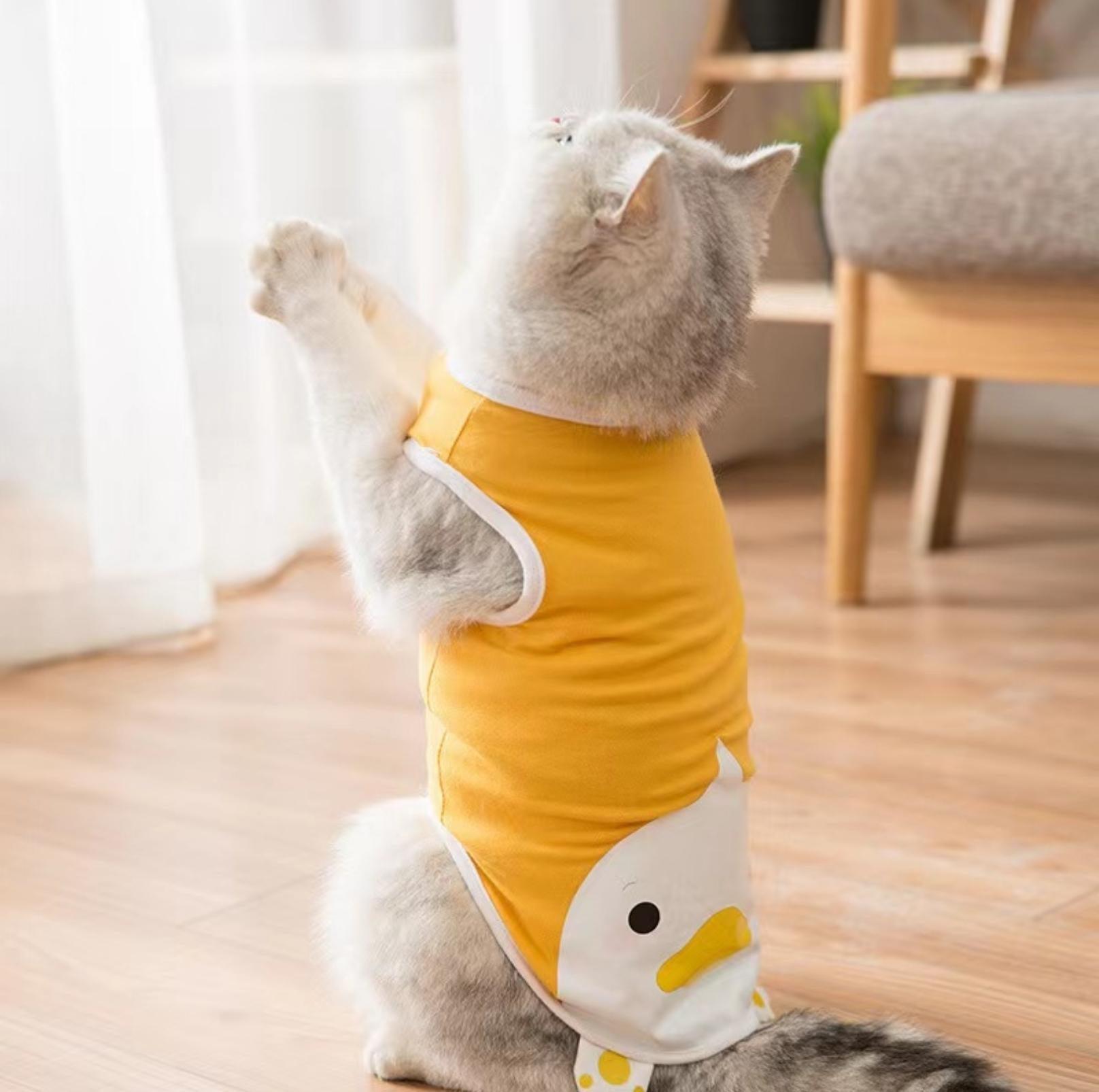 Yellow Duck Spring/Summer Cat Vest Pet Apparel - {{product.type}} - PawPawUp