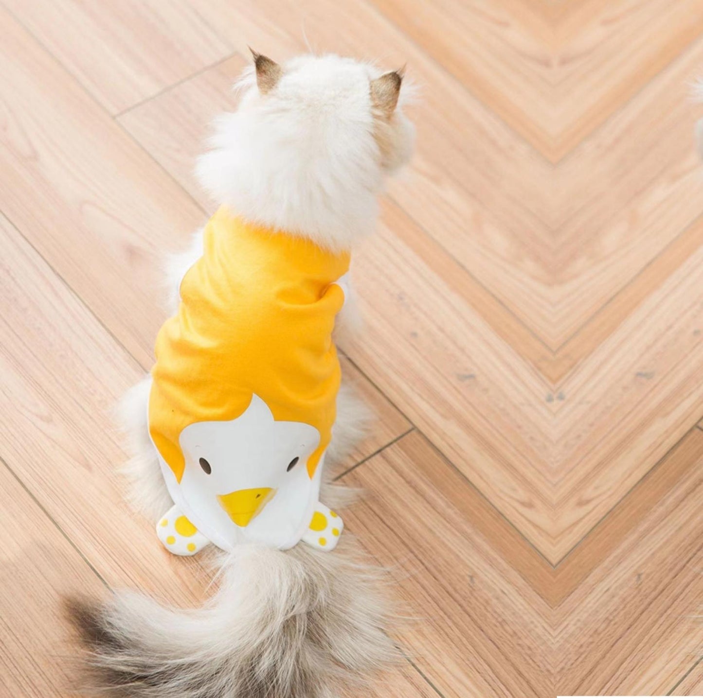 Yellow Duck Spring/Summer Cat Vest Pet Apparel - {{product.type}} - PawPawUp