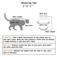 Yellow Duck Spring/Summer Cat Vest Pet Apparel - {{product.type}} - PawPawUp