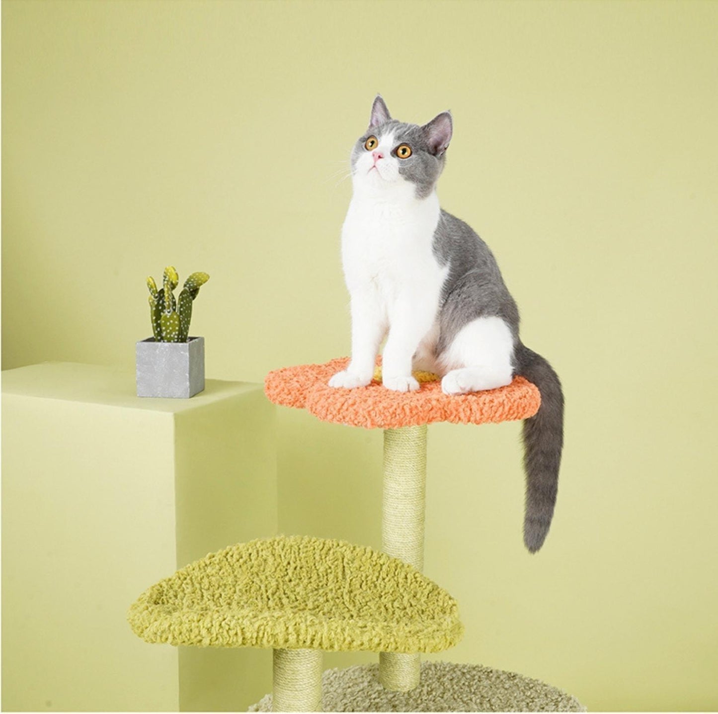 ZeZe Aidora Flower House Multifunctional Climbing Frame Cat Tree - {{product.type}} - PawPawUp