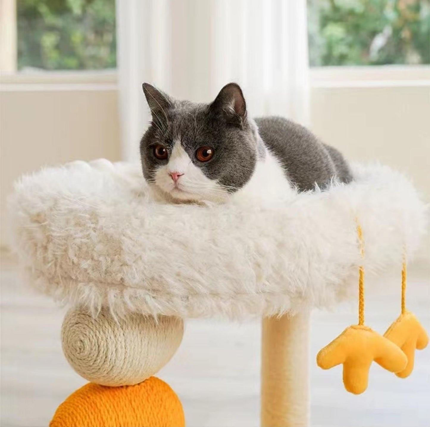 ZeZe Cluck Cat Scratching Post and Cat Bed - {{product.type}} - PawPawUp